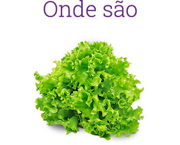 Onde são produzidos?